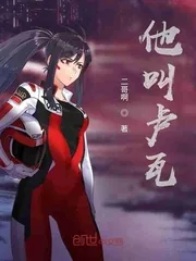 《他叫卢瓦》小说封面