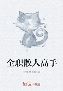 《全职散人高手》小说封面