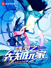 《精灵之先知玩家》小说封面