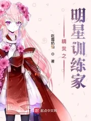 《精灵之明星训练家》小说封面