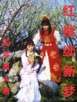 《红楼续新梦》小说封面