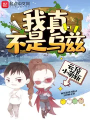 《我真不是乌兹》小说封面
