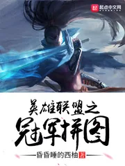 《英雄联盟之冠军拼图》小说封面