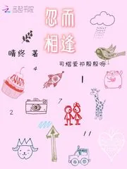 《忽而相逢》小说封面