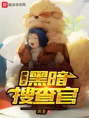 《精灵之黑暗搜查官》小说封面