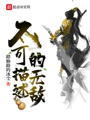 《不可描述的无敌》小说封面