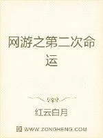 《网游之第二次命运》小说封面