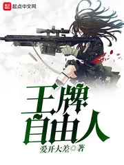 《王牌自由人》小说封面