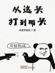 《从这头打到那头》小说封面