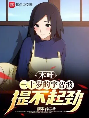 《木叶：三十岁的宇智波提不起劲》小说封面