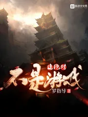 《这绝对不是游戏》小说封面