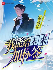 《我能给未来加标签》小说封面