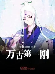 《万古第一刚》小说封面