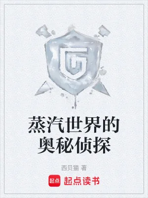 《蒸汽世界的奥秘侦探》小说封面
