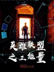 《英雄联盟之正能量》小说封面