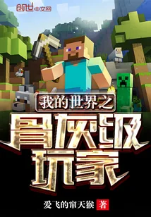 《我的世界之骨灰级玩家》小说封面