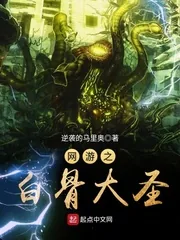 《网游之白骨大圣》小说封面