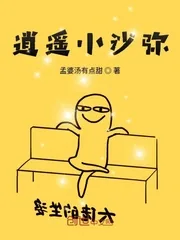 《逍遥小沙弥》小说封面