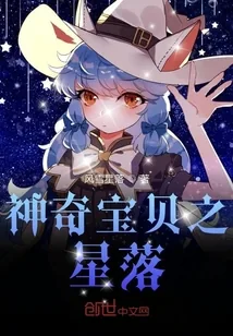 《神奇宝贝之星落》小说封面