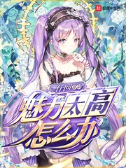《魅力太高怎么办》小说封面