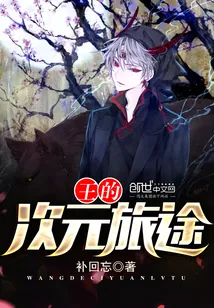 《王的次元旅途》小说封面