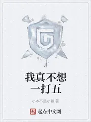 《我真不想一打五》小说封面