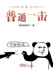 《无限之普通一击》小说封面