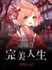 《木叶之完美人生》小说封面