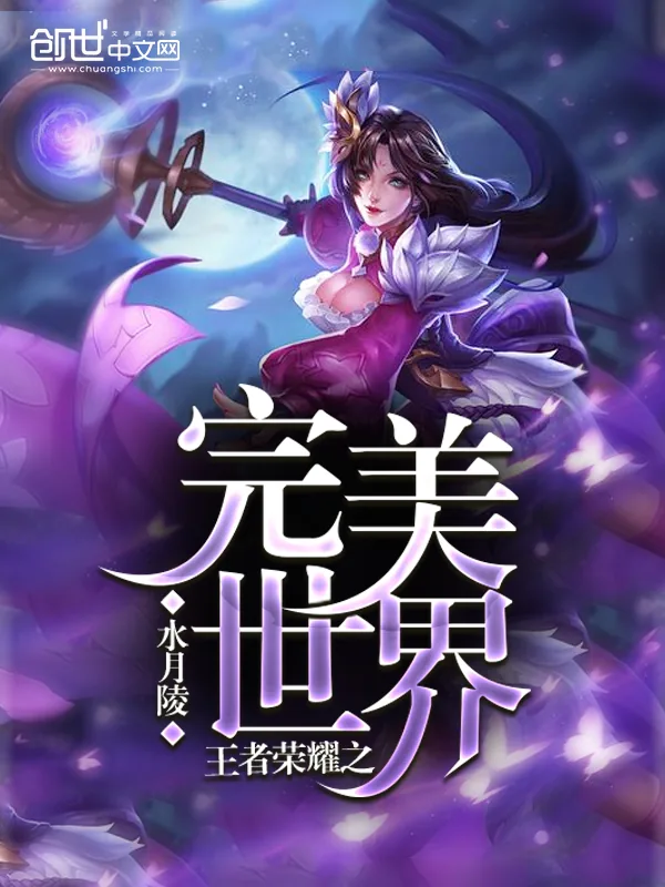 《王者荣耀之完美世界》小说封面