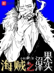 《海贼之沼泽果实》小说封面