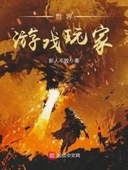 《世界游戏玩家》小说封面