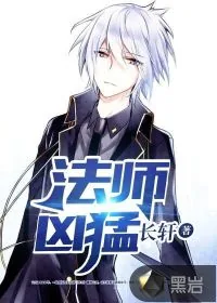 《法师凶猛》小说封面