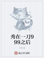 《秀在一刀999之后》小说封面