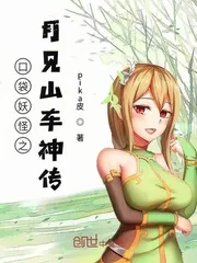 《口袋妖怪之月见山车神传》小说封面