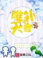 《唯一补天者》小说封面