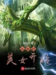 《从封印美女开始》小说封面