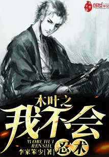 《木叶之我不会忍术》小说封面