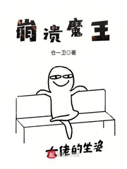 《崩溃魔王》小说封面