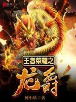 《王者荣耀之龙爵》小说封面