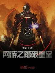 《网游之踏破星空》小说封面