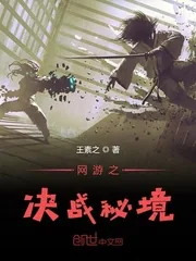 《网游之决战秘境》小说封面