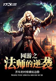 《网游之法师的逆袭》小说封面