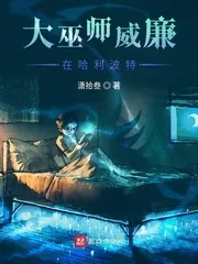 《大巫师威廉在哈利波特》小说封面