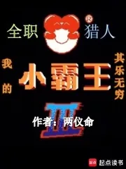 《全职猎人：我的小霸王其乐无穷》小说封面