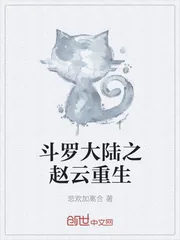 《斗罗大陆之赵云重生》小说封面