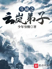 《斗破之云岚弟子》小说封面
