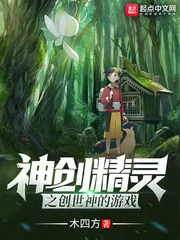 《神创精灵》小说封面