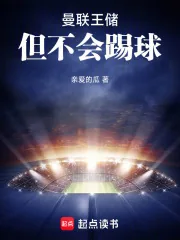 《曼联王储，但不会踢球》小说封面