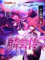 《麟芸传》小说封面