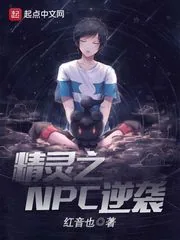《精灵之NPC逆袭》小说封面